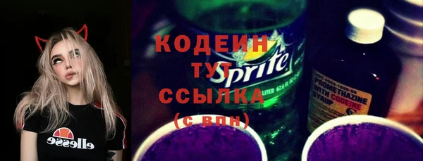 гидра Арсеньев