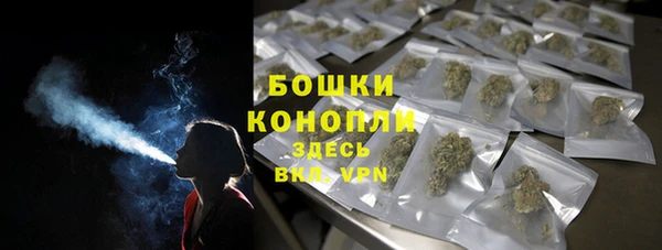 гидра Арсеньев
