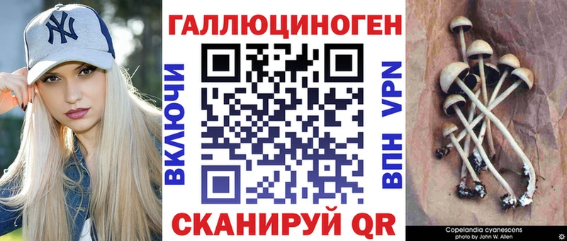 mega рабочий сайт  Краснокамск  Псилоцибиновые грибы Magic Shrooms 